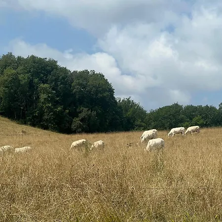 Les De La Cote * Monflanquin