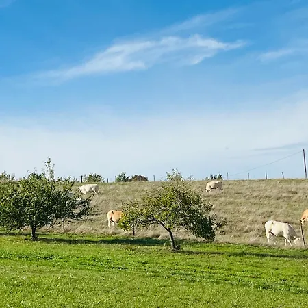 Les De La Cote * Monflanquin