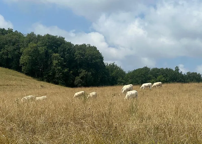 Les De La Cote * Monflanquin