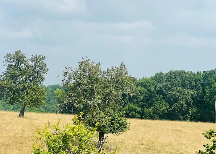 Les De La Cote Σπίτι διακοπών *